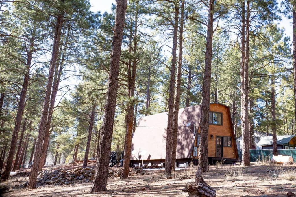 Grand Canyon Cabin! One Hour And 10 Minutes To The South Entrance! ويليامز المظهر الخارجي الصورة