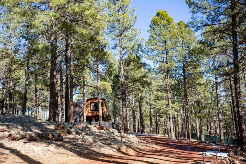 Grand Canyon Cabin! One Hour And 10 Minutes To The South Entrance! ويليامز المظهر الخارجي الصورة