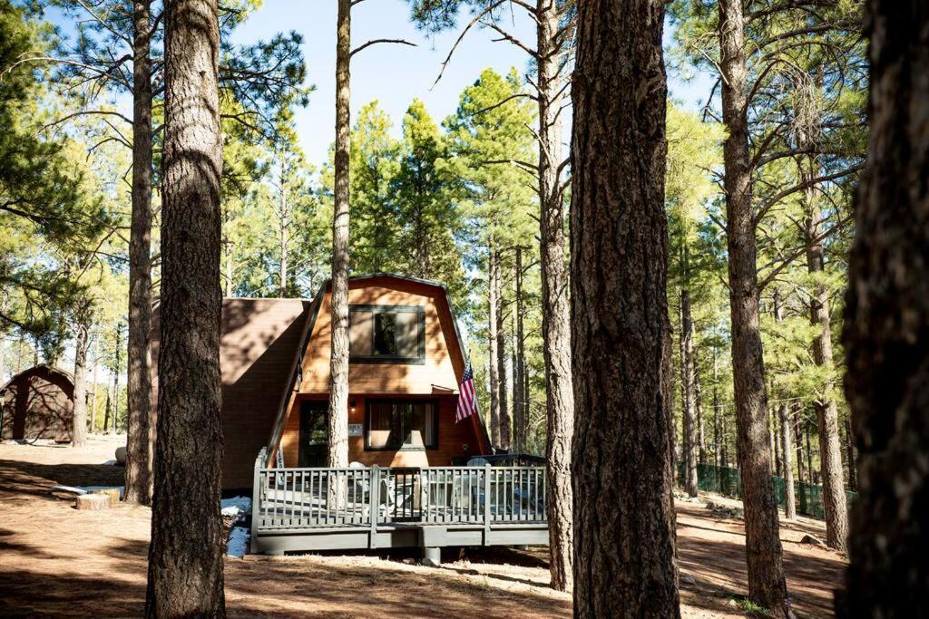 Grand Canyon Cabin! One Hour And 10 Minutes To The South Entrance! ويليامز المظهر الخارجي الصورة