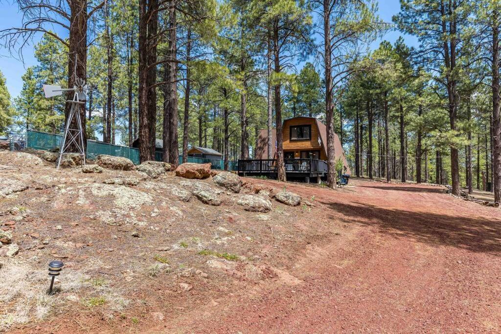 Grand Canyon Cabin! One Hour And 10 Minutes To The South Entrance! ويليامز المظهر الخارجي الصورة