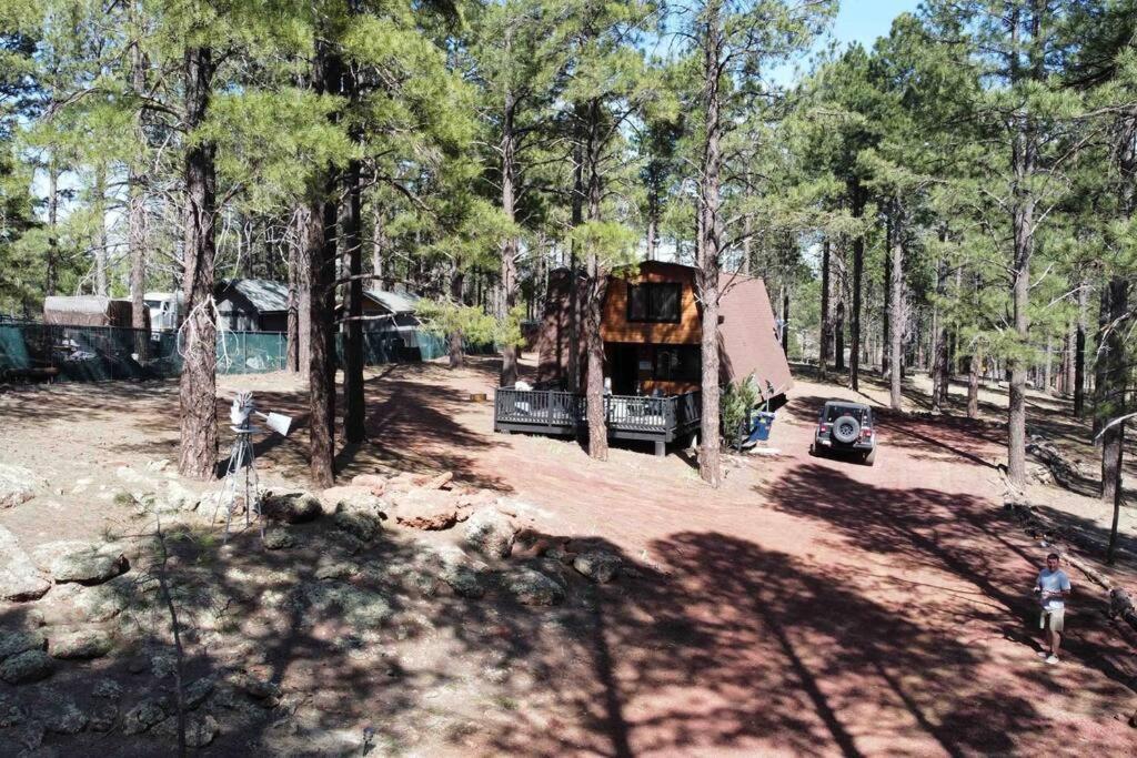 Grand Canyon Cabin! One Hour And 10 Minutes To The South Entrance! ويليامز المظهر الخارجي الصورة